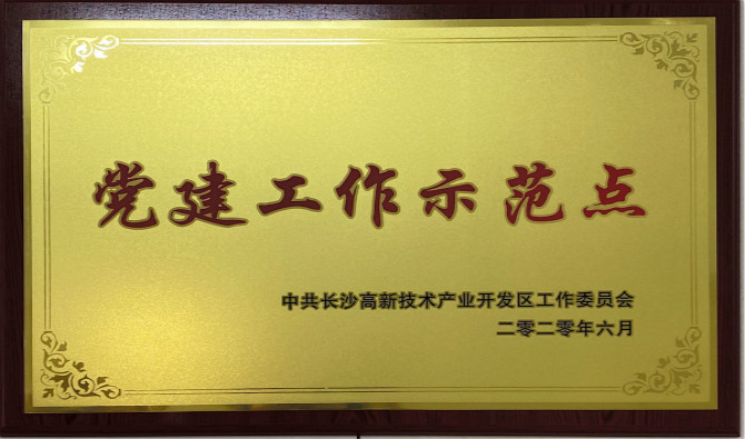 长沙高新区党工委授予中共星空体育登录入口股份有限公司委员会“党建工作示范点”“优秀党务工作者”荣誉称号